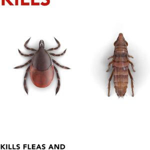 Raid Flea Killer Carpet and Room Spray (16 Ounce (Pack of 6))