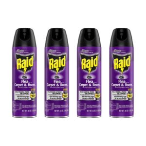 raid flea killer carpet and room spray 16 ounce (pack of 4)