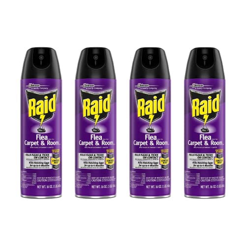 Raid Flea Killer Carpet and Room Spray 16 Ounce (Pack of 4)