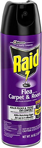 Raid Flea Killer Carpet and Room Spray 16 Ounce (Pack of 4)