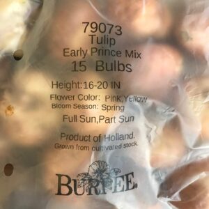 Burpee Perennial Tulip Mix | 20 Large Flowering Fall Bulbs for Planting, Multiple Colors