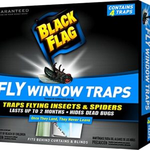 Black Flag Fly Window Trap (Pack of 3)