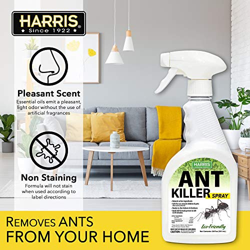 Harris Ant Killer Spray, 20 oz for Indoor and Outdoor Use