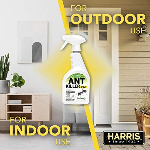 Harris Ant Killer Spray, 20 oz for Indoor and Outdoor Use