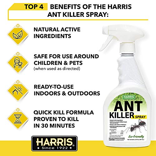 Harris Ant Killer Spray, 20 oz for Indoor and Outdoor Use