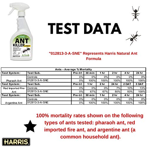 Harris Ant Killer Spray, 20 oz for Indoor and Outdoor Use