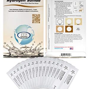 Industrial Test Systems 481167 WaterWorks Hydrogen Sulfide Water Test Strips, 30 foil Packed Tests