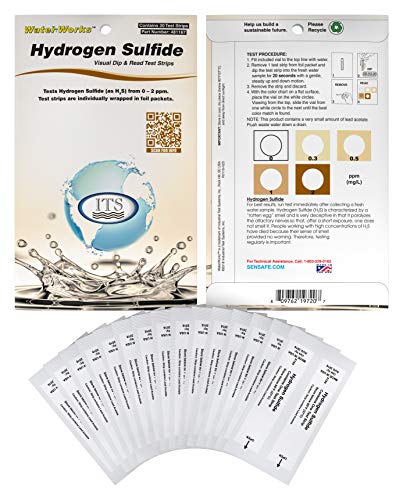Industrial Test Systems 481167 WaterWorks Hydrogen Sulfide Water Test Strips, 30 foil Packed Tests