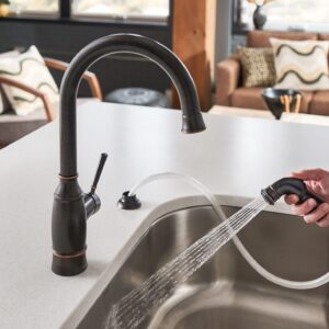 Moen Noell Mediterranean Bronze Traditional Single-Handle Standard Kitchen Faucet with Side Sprayer, 87506BRB