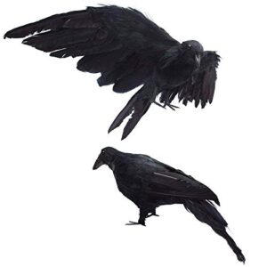 2-pack realistic crows lifesize extra large handmade black feathered crow for halloween decorations birds, l (13 inch+12 inch)