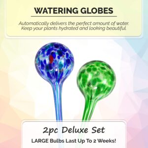 Blazin' Bison Self Watering Bulbs for Plants | Automatic Vacation House Plant Water Globes | Decorative Hand-Blown Glass Aqua Globe | 2pc Deluxe Set (Large)