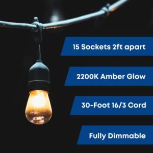 Feit Electric 30ft Outdoor String Lights 15 Sockets, Dimmable, Heavy-Duty Weather Resistant Decorative Outdoor Incandescent String Lights, 20 S14 Incandescent Bulbs Included, Amber Glow