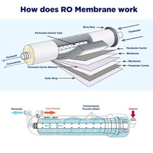 Membrane Solutions 1812/2012 24-150 GPD RO Housing Kit, Reverse Osmosis Membrane Filter Housing Replacement with Elbow Fittings, Housing Wrench, Check Valve