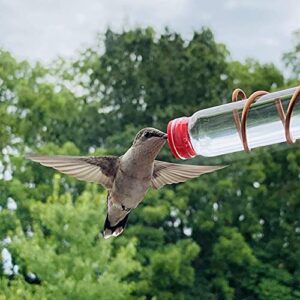 SWEET FEEDERS Window Hummingbird Feeder | Handcrafted Copper and Aluminum | Multiple Stations | Modern Hummingbird Feeder | Glass Bottles | Suction Cups (Copper, Three Station)