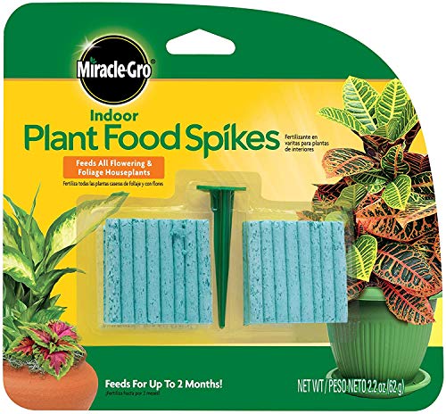 Miracle-GRO Indoor Plant Food, 48-Spikes (4-Pack (48 Count))