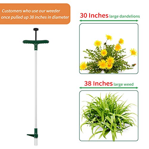 Walensee Weed Puller, Stand Up Weeder Hand Tool, Long Handle Garden Weeding Tool with 3 Claws, Hand Weed Hound Weed Puller for Dandelion, Standup Weed Root Pulling Tool and Picker, Grabber (1 Pack)