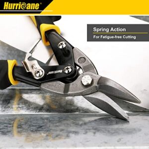 HURRICANE 10 Inch Aviation Tin Snips, Heavy Duty Metal Cutter Shears for Cutting Sheet Metal, Straight Cut, Chrome Vanadium Steel