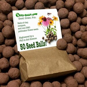 us native wildflower seed balls for pollinators (50 pack). regional wildflower mix seed balls for guerrilla gardening (northeast)