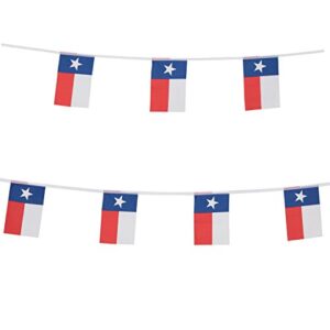 tsmd texas state flag banner,100 feet small mini texas tx lone star pennant banner flags string,party decorations supplies for bar,school sports event,international festival celebration