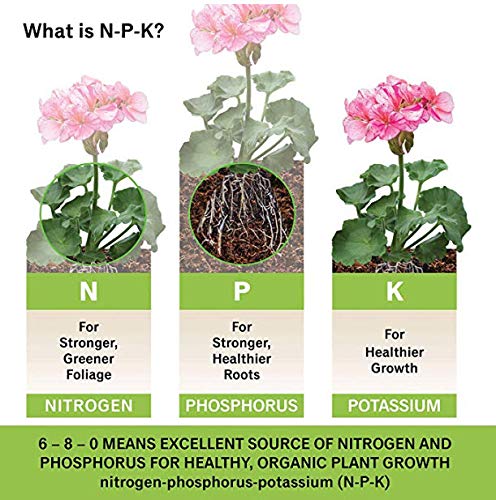 Burpee 99822 Organic Bone Meal Fertilizer, 2 Pack