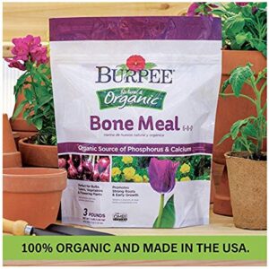 Burpee 99822 Organic Bone Meal Fertilizer, 2 Pack