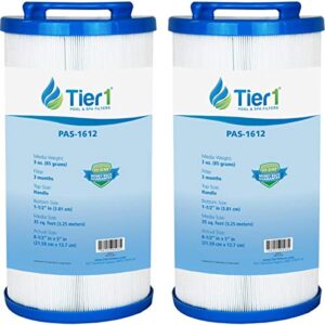 tier1 pool & spa filter cartridge 2-pk | replacement for 817-4035, teleweir 35 sf, pleatco pww35l, unicel 4ch-935 and more | 35 sq ft pleated fabric filter media