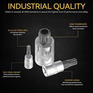 Renekton Triple Square Spline Bit Socket Set XZN,Tamper Proof,1/2" 3/8" 1/4" Drive,M4 - M18,S2 Steel,10 Pieces
