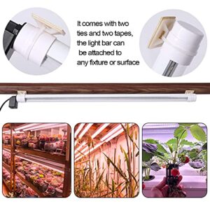 JCBritw Desktop LED Grow Light Bar T8 2ft Plant Growing Lamp on Stand for Indoor Plants White Full Spectrum Adjustable Tabletop Plant Light for Seed Starting, Seedlings, Veg, Flower