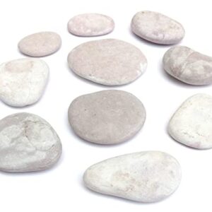 Capcouriers Rocks for Painting - Painting Rocks - Rocks for Rock Painting - 10 Rocks