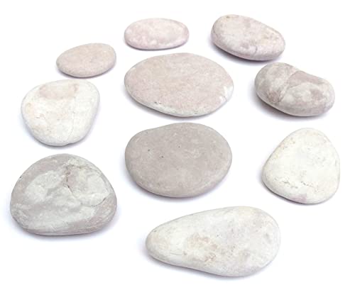 Capcouriers Rocks for Painting - Painting Rocks - Rocks for Rock Painting - 10 Rocks