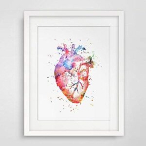 watercolor anatomy heart images vintage graphics art print anatomy wall hanging original design printed artwork 8x10inch no frame