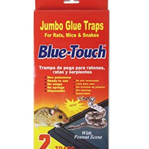 Blue Touch Great Large Mouse Glue Traps, Professional Mouse Glue Boards for Rats, Mice, Snakes and Pests. Jumbo Size 5.4" X 10.7" X 1", 7 Packs - 14 Traps