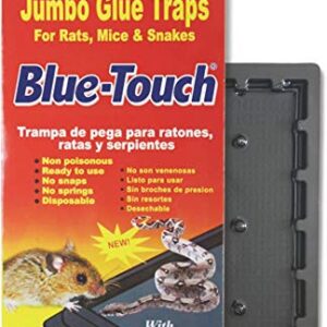 Blue Touch Great Large Mouse Glue Traps, Professional Mouse Glue Boards for Rats, Mice, Snakes and Pests. Jumbo Size 5.4" X 10.7" X 1", 7 Packs - 14 Traps