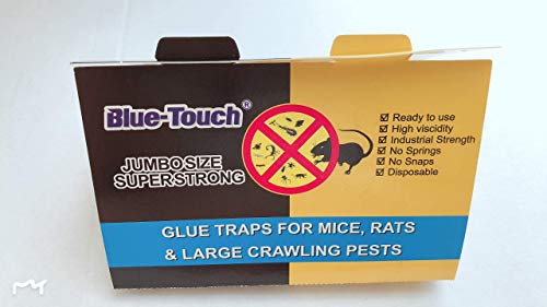 Blue-Touch Extra Large Strong Rats Glue Traps, Peanut Butter Scented Glue Boards for Mouse,Rats, mice, Snakes and Crawling pests. Jumbo Size 12.5 x5.8 inches, 1.75 OZ – 12 Traps