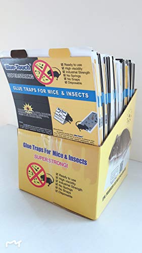 Blue-Touch Mouse Glue Traps, Peanut Butter Scented Best glue traps glue boards for mice, insects and crawling pests. 8.5x5.5 inches, 1.1 OZ – 100 Traps/Box