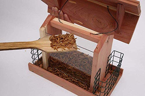 Solution4Patio Homes Garden USA Cedar Bird Feeder Wildbird Essentials Handmade Wooden Outdoor Ranch Patio Yard Tree Hanging with Double Plastic Window and Double Suet Holder Cages Combination #G-8534