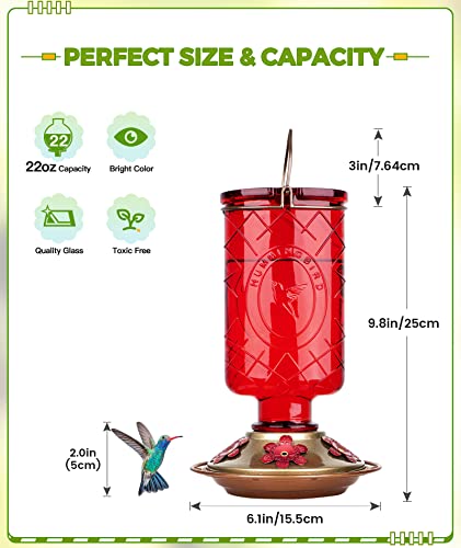 BOLITE Hummingbird Feeder, 18005 Glass Hummingbird Feeders for Outdoors Hanging, 5 Feeding Stations, 22 Ounces, Red Bottle, Xmas Gifts for Bird Lovers