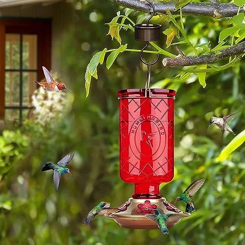 BOLITE Hummingbird Feeder, 18005 Glass Hummingbird Feeders for Outdoors Hanging, 5 Feeding Stations, 22 Ounces, Red Bottle, Xmas Gifts for Bird Lovers