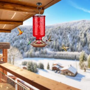 BOLITE Hummingbird Feeder, 18005 Glass Hummingbird Feeders for Outdoors Hanging, 5 Feeding Stations, 22 Ounces, Red Bottle, Xmas Gifts for Bird Lovers