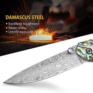 NedFoss Pocket Knife, Damascus Pocket Knife with Abalone Shell Handle, Handmade Forged Damascus Steel Folding Knife with Gift Box, Excellent Gifts for Men Women (A-Polar Bear)
