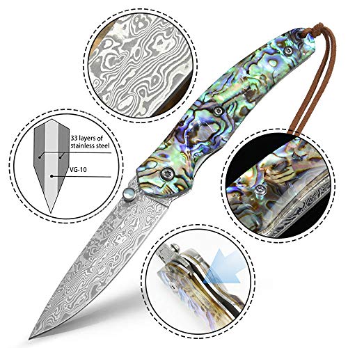 NedFoss Pocket Knife, Damascus Pocket Knife with Abalone Shell Handle, Handmade Forged Damascus Steel Folding Knife with Gift Box, Excellent Gifts for Men Women (A-Polar Bear)