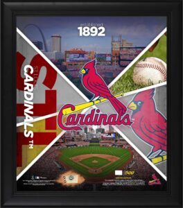 st. louis cardinals framed 15" x 17" team impact collage with a piece of game-used baseball - limited edition of 500 - mlb game used baseball collages
