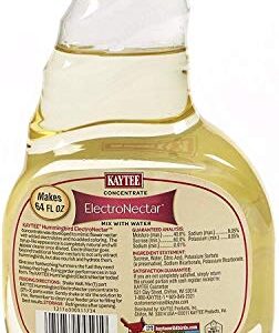 Kaytee Hummingbird Electro Nectar Concentrate, (2 Pack of 16-Ounce)