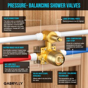GABRYLLY Shower System, Shower Faucet Set Complete with High Pressure 8" Rain Shower head and Handheld Shower Set, Wall Mounted Rainfall Shower Fixtures with Valve and Diverter, Brushed Nickel