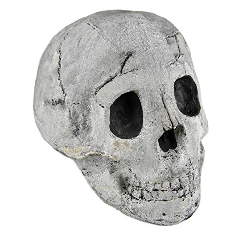 Myard Fireproof Imitated Human Fire Pit Skull Gas Log for NG, LP Wood Fireplace, Firepit, Campfire, Halloween Decor, BBQ (Qty 1, White - Adult, One Piece)