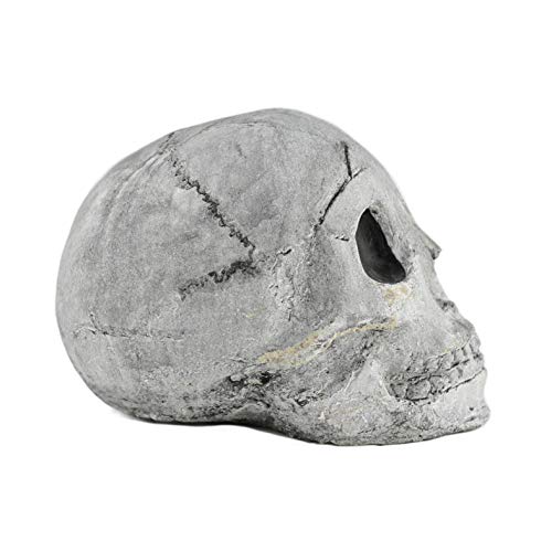 Myard Fireproof Imitated Human Fire Pit Skull Gas Log for NG, LP Wood Fireplace, Firepit, Campfire, Halloween Decor, BBQ (Qty 1, White - Adult, One Piece)