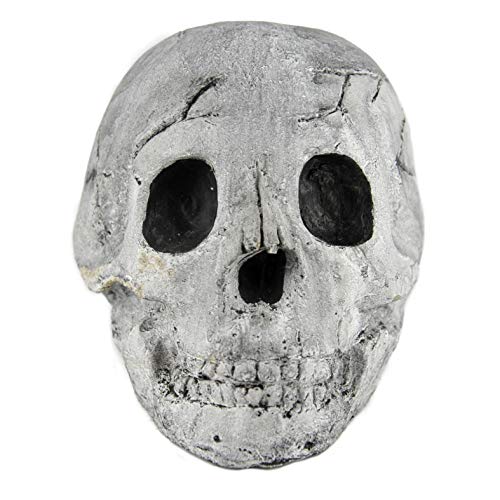 Myard Fireproof Imitated Human Fire Pit Skull Gas Log for NG, LP Wood Fireplace, Firepit, Campfire, Halloween Decor, BBQ (Qty 1, White - Adult, One Piece)