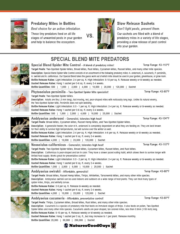 25,000 Predatory Mite Blend