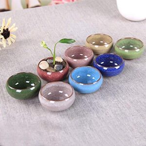 Succulent Plant Pot, My Decor 12 Pcs 2.5 Inch Ceramic Ice Crack Cactus Plant Pot /Flower Pot/ Container/ Planter