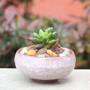 Succulent Plant Pot, My Decor 12 Pcs 2.5 Inch Ceramic Ice Crack Cactus Plant Pot /Flower Pot/ Container/ Planter